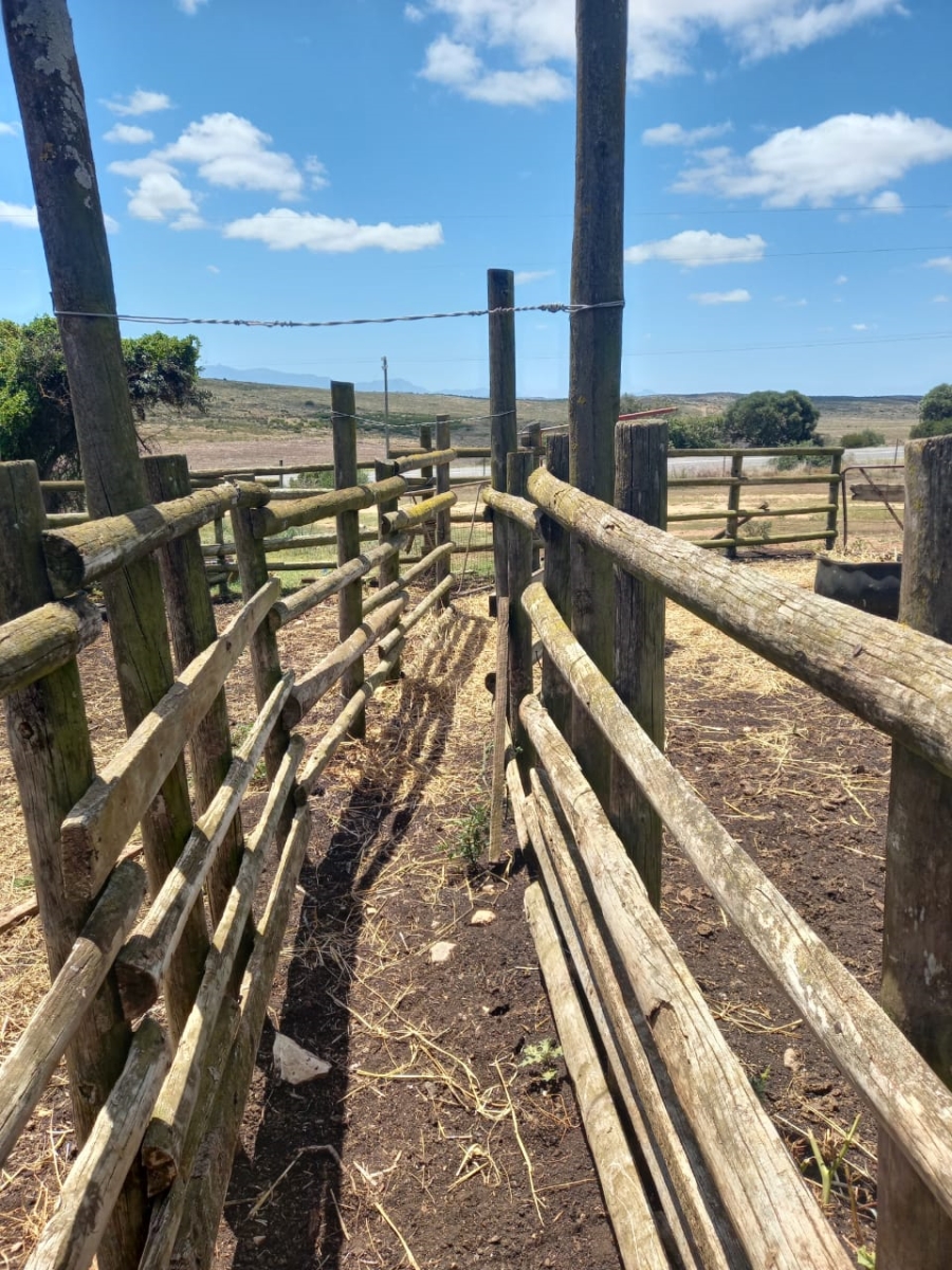  Bedroom Property for Sale in Riversdale Rural Western Cape